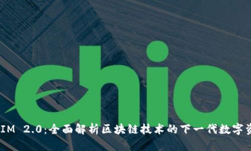 qhubazPNS TokenIM 2.0：全面解析区块链技术的下一代数字资产管理与交易平台