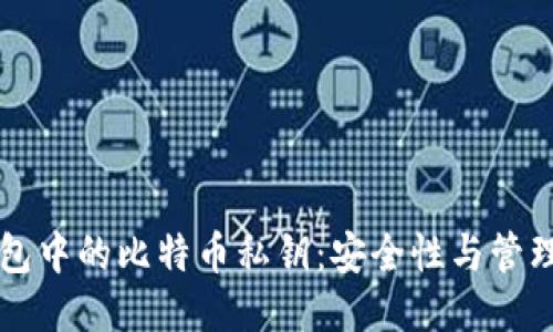热钱包中的比特币私钥：安全性与管理技巧