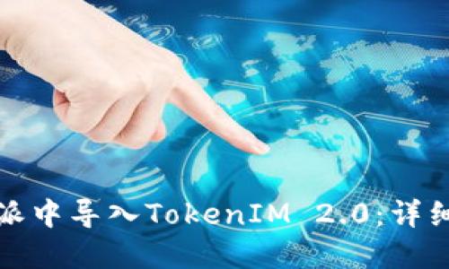如何在比特派中导入TokenIM 2.0：详细步骤与技巧