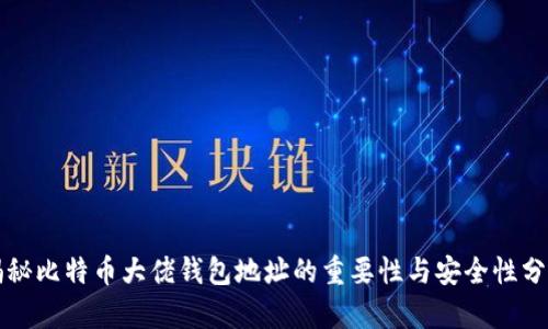 揭秘比特币大佬钱包地址的重要性与安全性分析