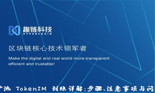 
星火矿池 TokenIM 到账详解：步骤、注意事项与问题解答