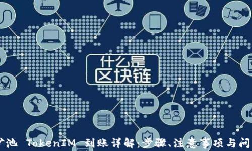 
星火矿池 TokenIM 到账详解：步骤、注意事项与问题解答