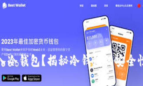 假币能否存入冷钱包？揭秘冷钱包的安全性与使用方法