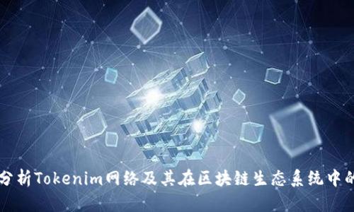 深入分析Tokenim网络及其在区块链生态系统中的应用