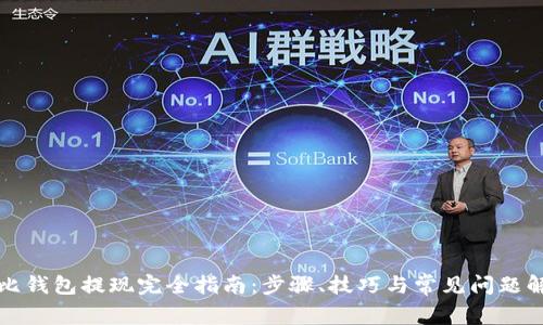 波比钱包提现完全指南：步骤、技巧与常见问题解答