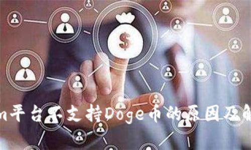 Tokenim平台不支持Doge币的原因及解决方案