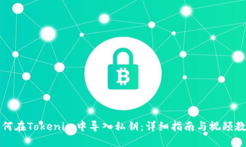 如何在Tokenim中导入私钥：详细指南与视频教程