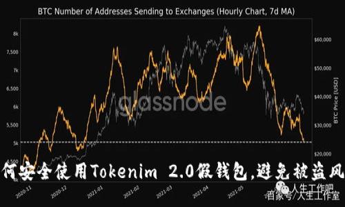 如何安全使用Tokenim 2.0假钱包，避免被盗风险