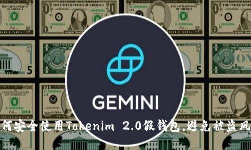 如何安全使用Tokenim 2.0假钱包，避免被盗风险