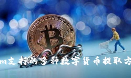 Tokenim支持的多种数字货币提取方式详解