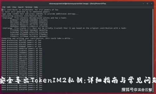 如何安全导出TokenIM2私钥：详细指南与常见问题解答
