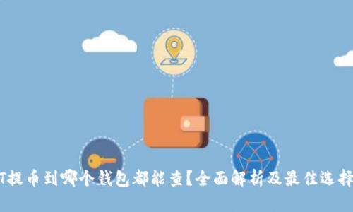 USDT提币到哪个钱包都能查？全面解析及最佳选择指南
