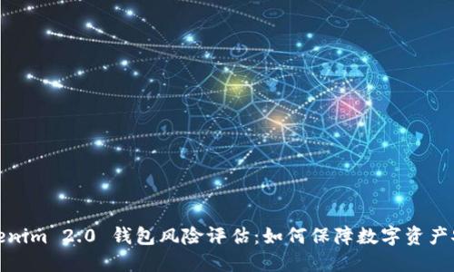 Tokenim 2.0 钱包风险评估：如何保障数字资产安全