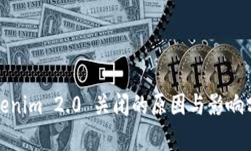 Tokenim 2.0 关闭的原因与影响分析