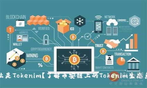 什么是Tokenim？了解币安链上的Tokenim生态系统