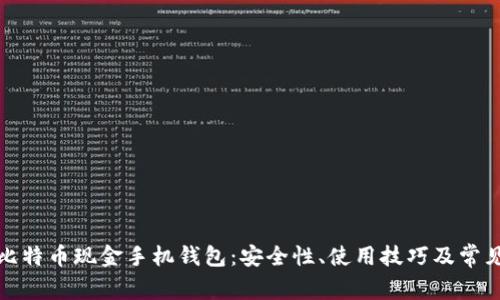全面解析比特币现金手机钱包：安全性、使用技巧及常见问题解答