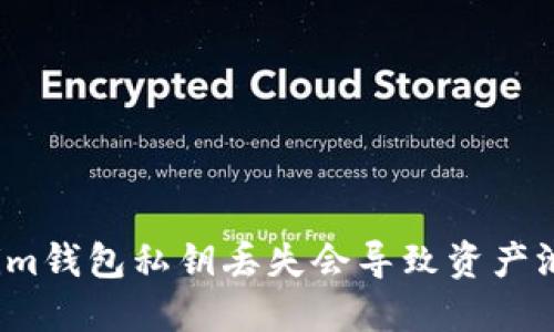 Tokenim钱包私钥丢失会导致资产泄露吗？
