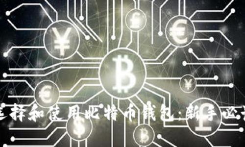 如何选择和使用比特币钱包：新手必读指南