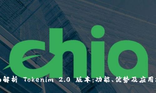 全面解析 Tokenim 2.0 版本：功能、优势及应用场景