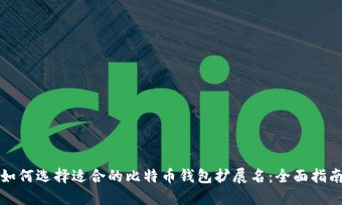 如何选择适合的比特币钱包扩展名：全面指南