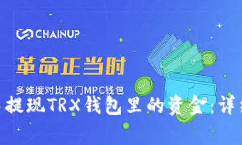 如何在Tokenim中提现TRX钱包里的资金：详细步骤与注意事项