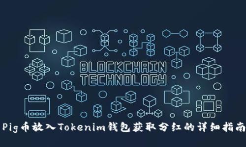 Pig币放入Tokenim钱包获取分红的详细指南