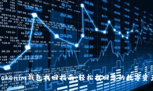 Tokenim钱包找回指南：轻松找回您的数字资产