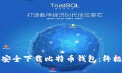 如何安全下载比特币钱包