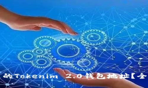 如何找回丢失的Tokenim 2.0钱包地址？全方位解决方案