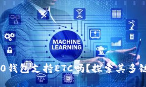 Tokenim 2.0钱包支持ETC吗？探索其多链功能与优势