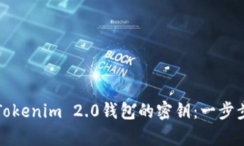 如何找回Tokenim 2.0钱包的密钥：一步步简单指南