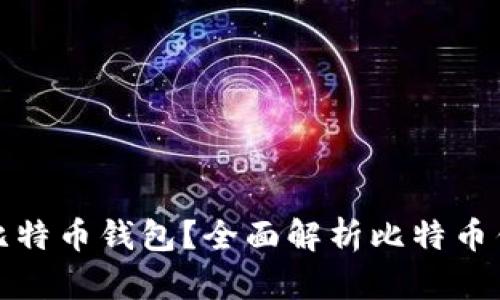 如何选择适合你的比特币钱包？全面解析比特币钱包的种类与安全性