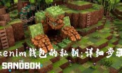 如何找回Tokenim钱包的私钥