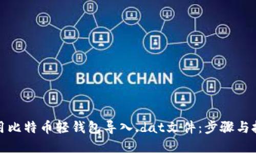 如何使用比特币轻钱包导入.dat文件：步骤与技巧详解