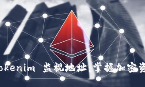 如何使用 Tokenim 监视地址：掌握加密资产实时动态