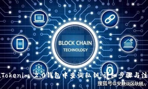 如何在Tokenim 2.0钱包中查询私钥：详细步骤与注意事项