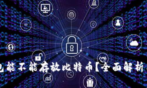 以太坊钱包能不能存放比特币？全面解析与用户指南