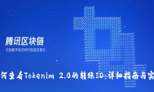 如何查看Tokenim 2.0的转账ID：详细指南与实例