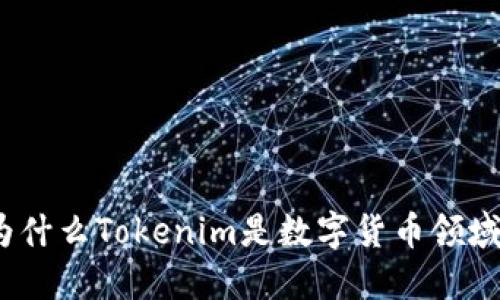 雨后祥云：为什么Tokenim是数字货币领域的未来趋势