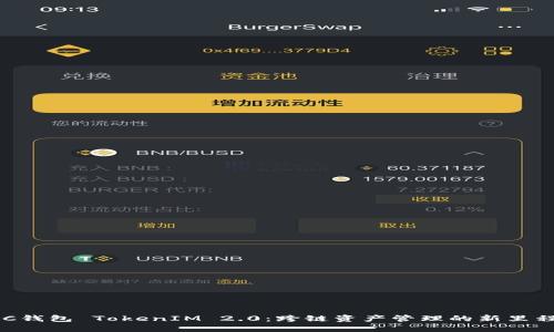 BSC钱包 TokenIM 2.0：跨链资产管理的新里程碑