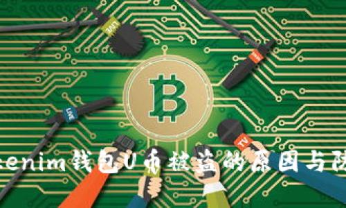 探讨Tokenim钱包U币被盗的原因与防范措施