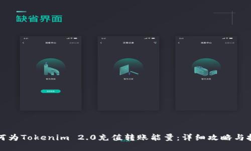 如何为Tokenim 2.0充值转账能量：详细攻略与技巧