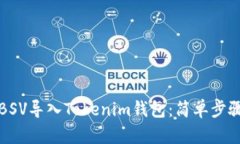 如何将BSV导入Tokenim钱包：