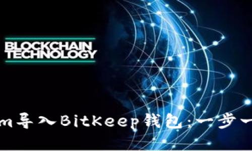 如何将Tokenim导入BitKeep钱包：一步一步的详细指南