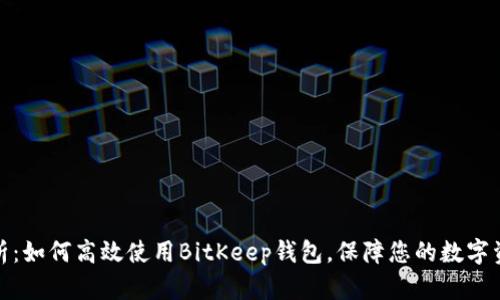 全面解析：如何高效使用BitKeep钱包，保障您的数字资产安全