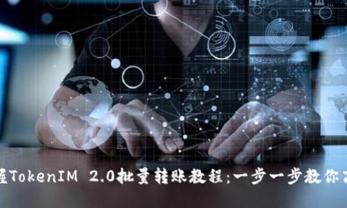 轻松掌握TokenIM 2.0批量转账教程：一步一步教你高效转账