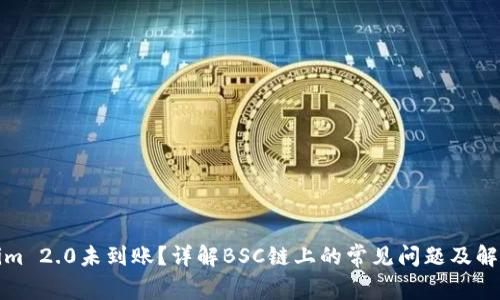 Tokenim 2.0未到账？详解BSC链上的常见问题及解决方法
