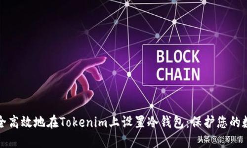 如何安全高效地在Tokenim上设置冷钱包：保护您的数字资产