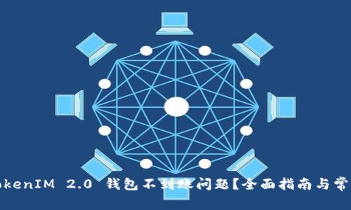 如何解决TokenIM 2.0 钱包不到账问题？全面指南与常见解决方案