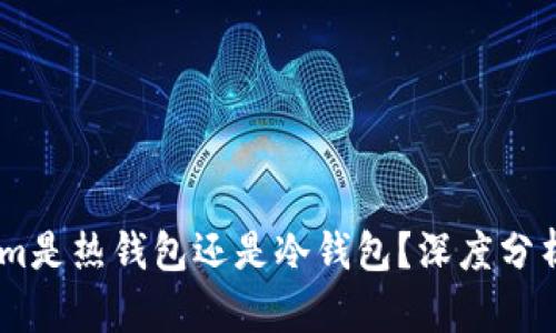 Token.im是热钱包还是冷钱包？深度分析与对比
